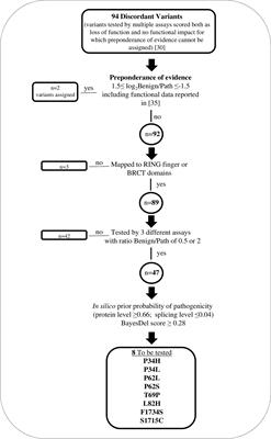 Refinement of the assignment to the ACMG/AMP BS3 and PS3 criteria of eight BRCA1 variants of uncertain significance by integrating available functional data with protein interaction assays